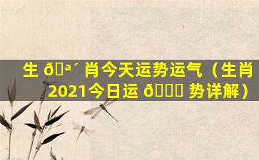 生 🪴 肖今天运势运气（生肖2021今日运 🐘 势详解）